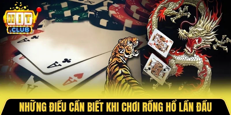 Những điều cần biết khi chơi Rồng Hổ lần đầu